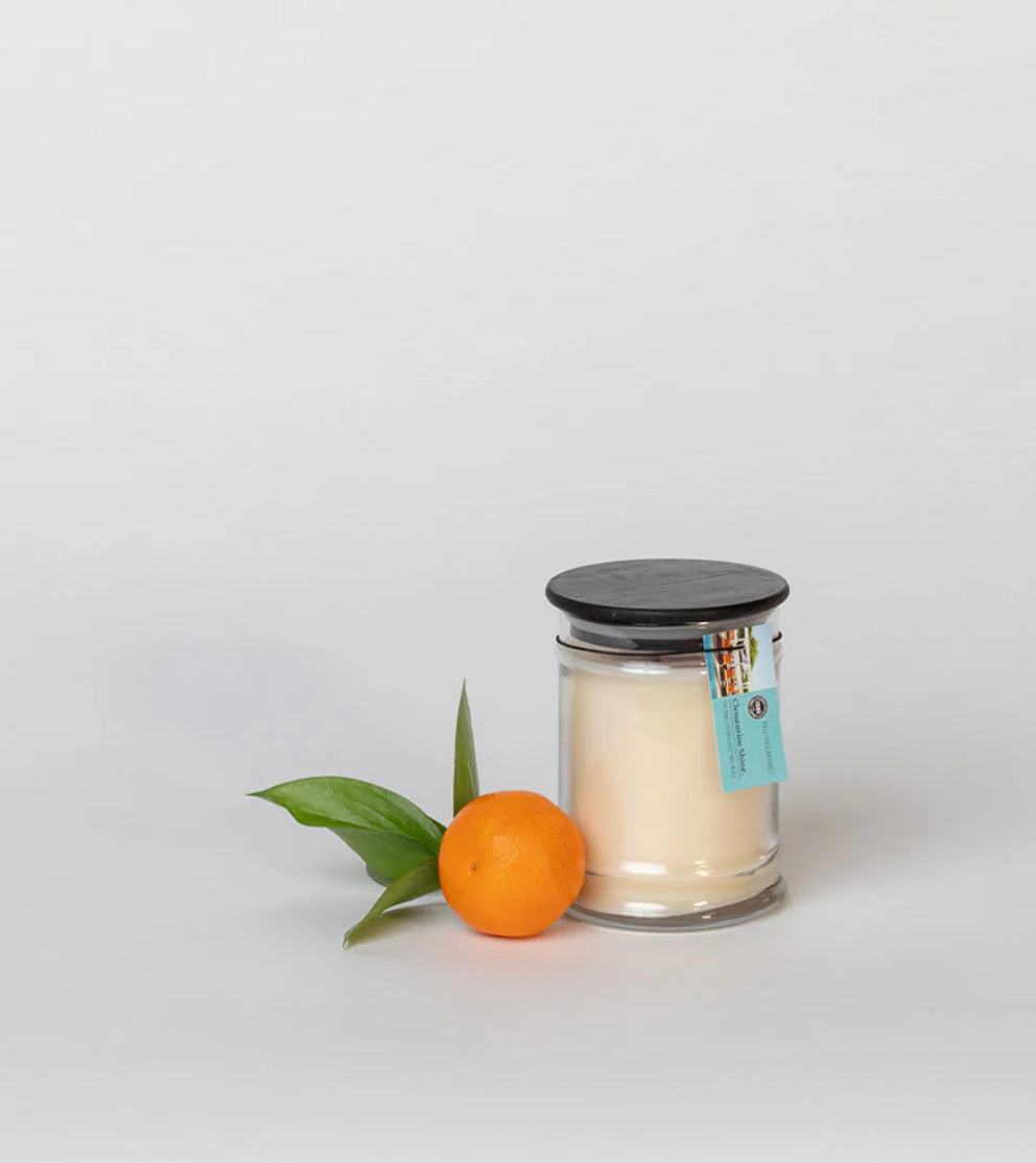 Bridgewater -8.8oz Jar Candle-Clementine Shine