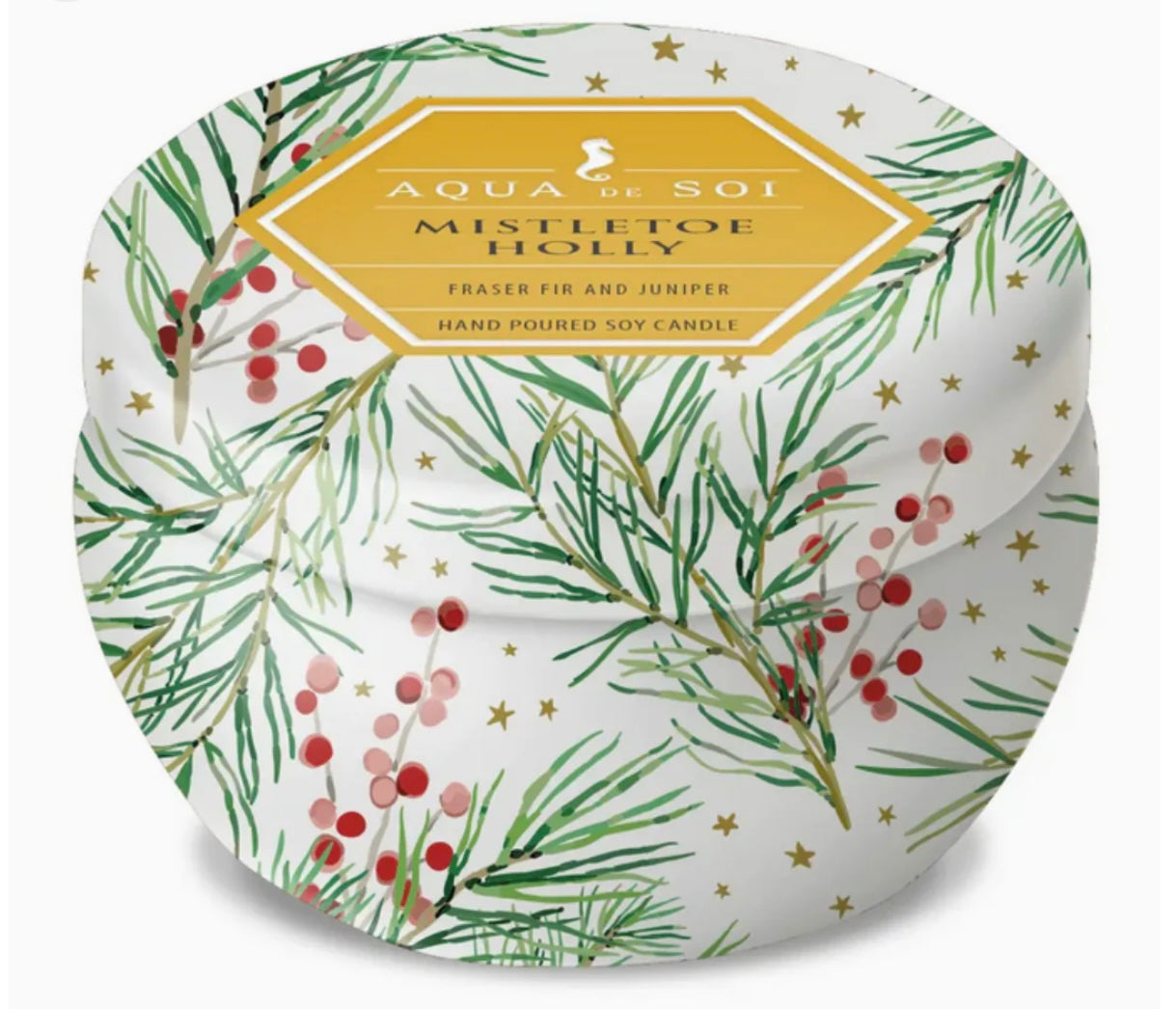 SOI- MISTLETOE AND HOLLY 9oz Tin